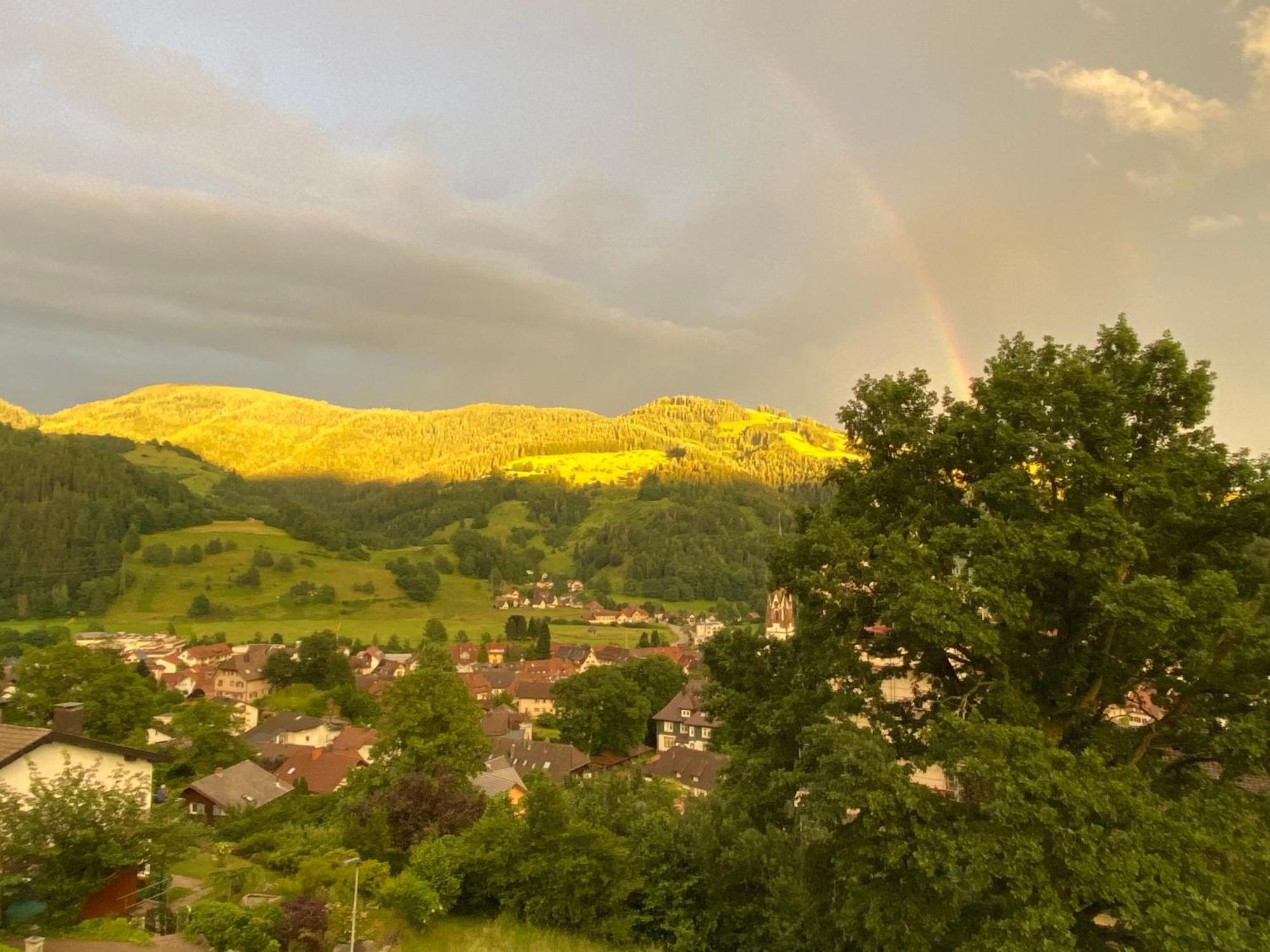 Ferienwohnung Schoenblick Schönau im Schwarzwald Kültér fotó