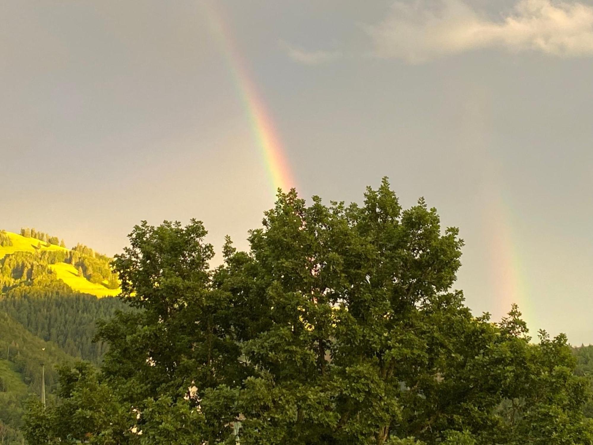 Ferienwohnung Schoenblick Schönau im Schwarzwald Kültér fotó